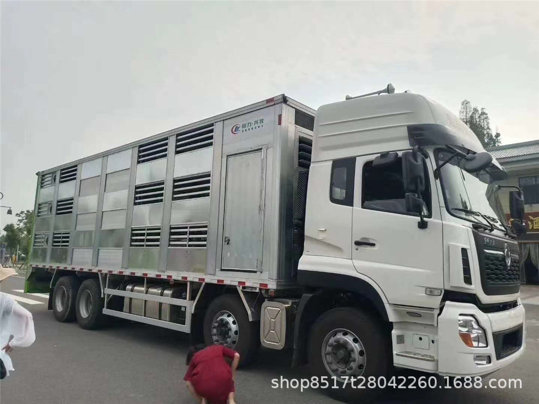 （東風(fēng)天龍前四后八）毛豬運(yùn)輸車究竟多少錢一臺活體畜禽運(yùn)輸車