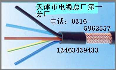 天津市電纜總廠第一分廠銷售屏蔽雙絞軟電纜