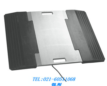 汽車輪重儀##（用于車輛輪重檢測）
