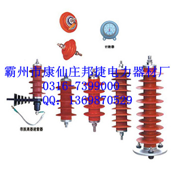 Y5WS-10/30瓷套氧化鋅避雷器