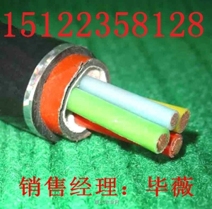 供應(yīng)【灰色】局用電纜HJVV 100X2X0.5（價(jià)格/報(bào)價(jià)）【廠