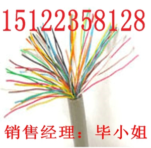 供應(yīng)耐火電纜NH-VV-4*25規(guī)格-耐火電力電纜（價(jià)格/報(bào)價(jià))