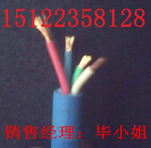 供應(yīng)RVVP屏蔽電纜RVVP-ZR-RVVP（價(jià)格/報(bào)價(jià)）廠家直銷