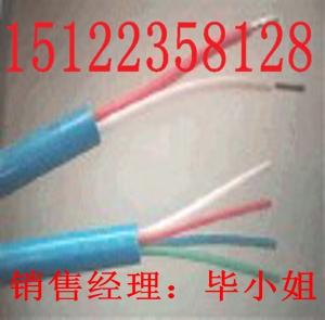 供應(yīng)PVC護(hù)套二芯絞合屏蔽控制電纜（價(jià)格/報(bào)價(jià)）【廠家直銷】