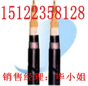 最新供應(yīng)視頻線SYV-75-7價(jià)格 SYV-75-5 SYV-75