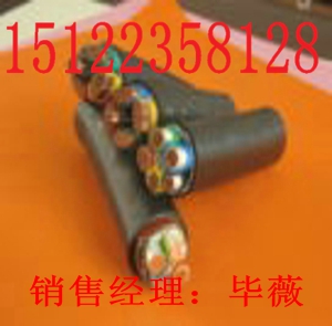 最新供應(yīng)RVVP 2*2.5RVVP 2*2.5多芯屏蔽軟電纜/價(jià)