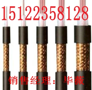 國(guó)際品質(zhì)RVVP2*1.5價(jià)格-RVVP2*1.5報(bào)價(jià)