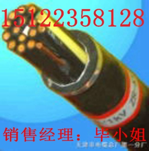 最新供應(yīng)syv-75-3-41同軸射頻電纜(視頻線)·/價(jià)格/報(bào)價(jià)