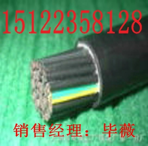 最新供應(yīng)BVR 0.5×10報(bào)價(jià)-天津市電纜總廠第一分廠推薦