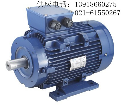 YS100L1-4微型電動(dòng)機(jī)|YS100L1-4電動(dòng)機(jī)（圖）現(xiàn)貨