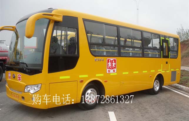 5米、6米、7米、8米、9米校車(chē)，小學(xué)生校車(chē)，幼兒園校車(chē)