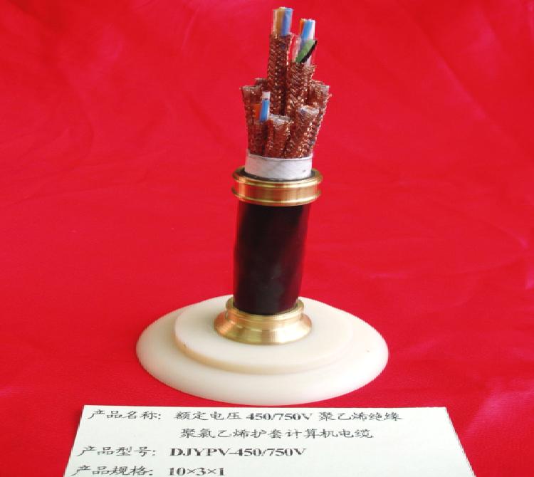 【電子計(jì)算機(jī)電纜DJYVP電纜供應(yīng)全國(guó)】