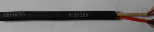 CEFR/SA 0.6/1KV 2*2.5 2*4 2*6