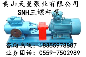 SNH2900R46U12.1W21螺桿泵，主機潤滑油泵