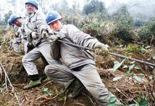 龍華變壓器搶修，電力搶修，龍華區(qū)、大浪、民治附近一個小時可以到達