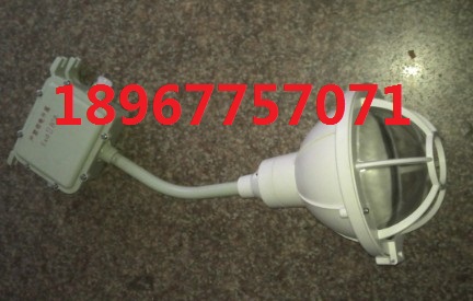 防水防塵工廠(chǎng)燈FAD-S 150w IP54