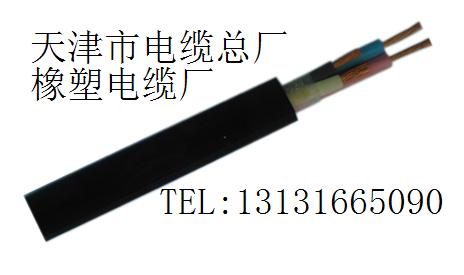 RS485電纜 RS-485電纜價(jià)格 RS485總線電纜生產(chǎn)廠家