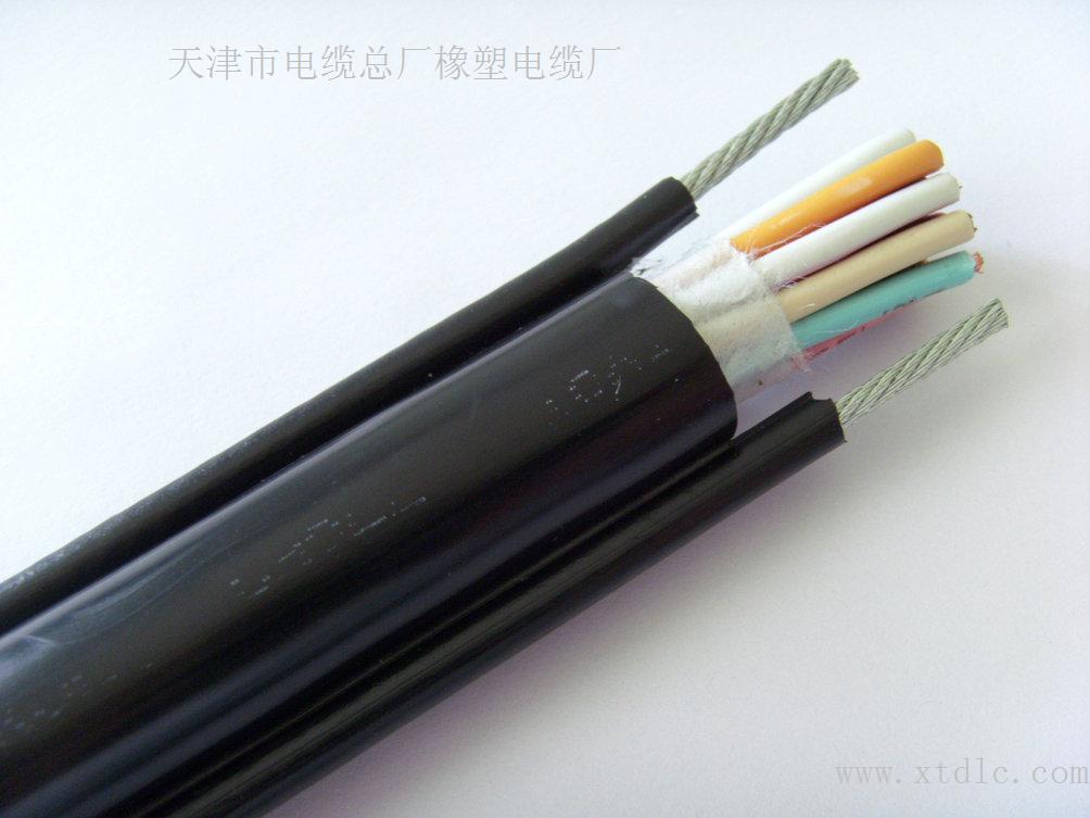 RS485電纜 RS-485電纜報價 RS485總線電纜生產(chǎn)廠家