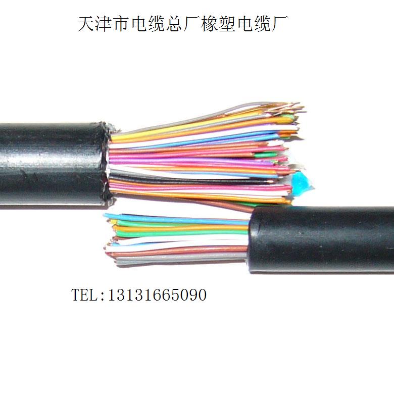 RS485電纜 RS485總線電纜生產(chǎn)廠家RS485電纜 RS48