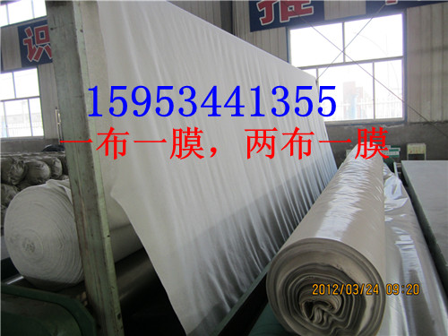 防滲膜（HDPE）200g無(wú)紡布 600g無(wú)紡布銷售