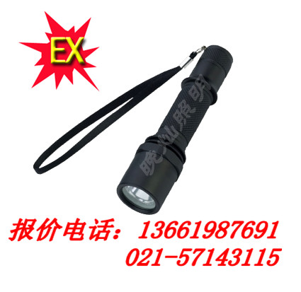 上海制造BAD202全方位防爆電筒，F(xiàn)W6101，RJW7101