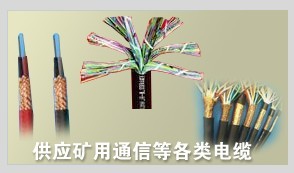 礦用信號(hào)電纜MHYV ,礦用監(jiān)測(cè)電纜MHYV