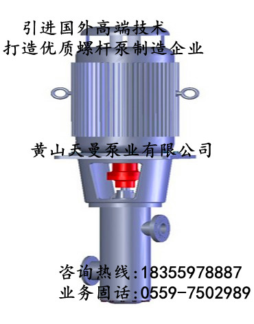 富春江水電站機組改造工程用我廠3GR100×2FD三螺桿泵_特制