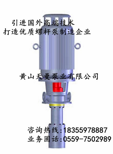 3GR85×2W2三螺桿泵，現(xiàn)貨供應(yīng)稀油站用黃山3GR三螺桿泵