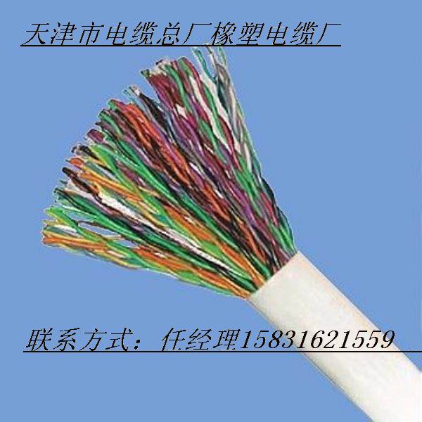 HYA500x2x0.4 HYA500x2x0.5 大對數(shù)電纜