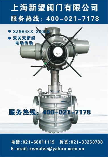 雙關(guān)雙斷閥-電動(dòng)傳動(dòng)XZ9B43X-300LB