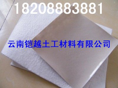 云南復(fù)合土工膜廠家~\~~\紅河hdpe土工膜價(jià)格▬▬土工膜詢價(jià)