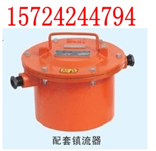 ZBD175/127鎮(zhèn)流器，礦用投光燈鎮(zhèn)流器