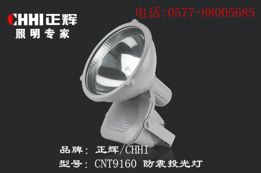 供應(yīng)浙江正輝照明CNT9160-防震投光燈