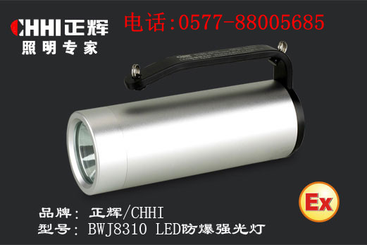 供應(yīng)浙江正輝照明BWJ8310 LED防爆強(qiáng)光燈