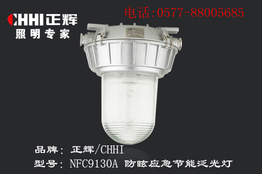 NEC9130A-防眩應(yīng)急節(jié)能泛光燈