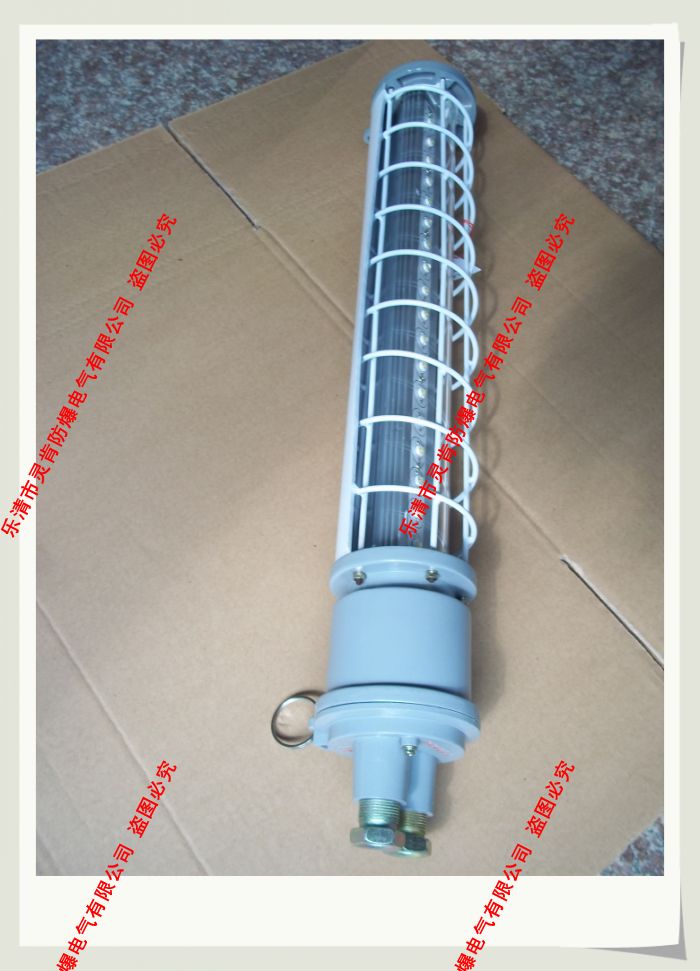 DGS24/127L(E)，礦用隔爆型LED巷道燈，礦用巷道燈