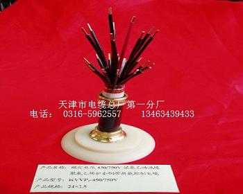 阻燃電話電纜 天津阻燃電話電纜  阻燃電話電纜產(chǎn)品