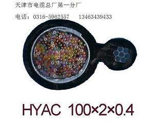 架空電話電纜HYAC30x2x0.5  大對數(shù)架空電話電纜