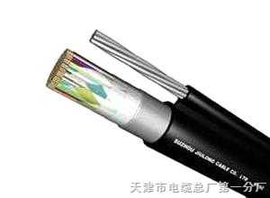 礦用通信電纜MHYAV 90x2x0.5電纜用途..