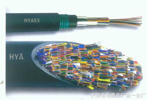 HYA30X(2X0.5) 30對全塑通信電纜