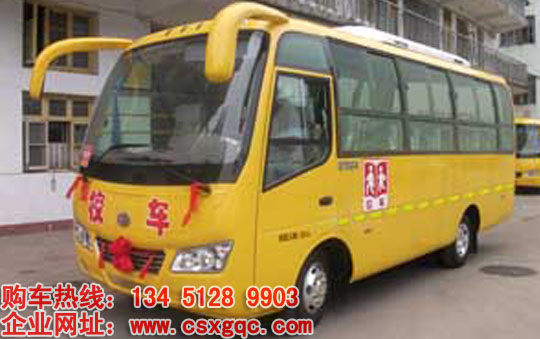 校車報(bào)價(jià)咨詢楚風(fēng)