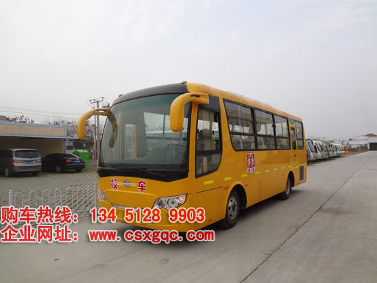 小學(xué)生幼兒園專用校車33座楚風(fēng)牌HQG6660EXC3型小學(xué)生校車