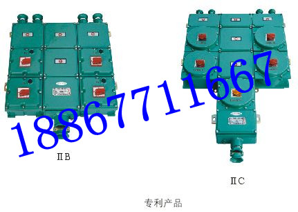 防爆照明配電箱 BXM（D）-6K防爆防腐動(dòng)力配電箱