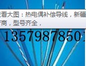 新疆壓力表YD熱電偶烏魯木齊耐震壓力表、工業(yè)熱電偶