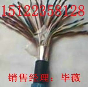 【（河北熱銷）NH-KVVRP2(450/750V)-30】（大力