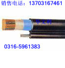 鋼帶鎧裝電話電纜-HYA23(10對(duì)50對(duì)20對(duì)50對(duì)100對(duì)