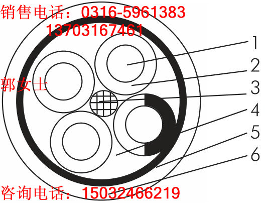 銅帶屏蔽計算機(jī)電纜DJYVP2;DJYP2VP2;DJYP2V-2