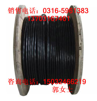 IA-DJYJPV(R)P,IA-DJF46PVP本質(zhì)安全電路用計(jì)