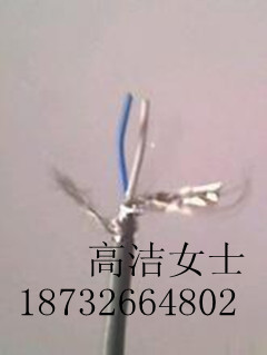 STP-120電纜 STP-120電纜規(guī)格 STP-120電纜型號