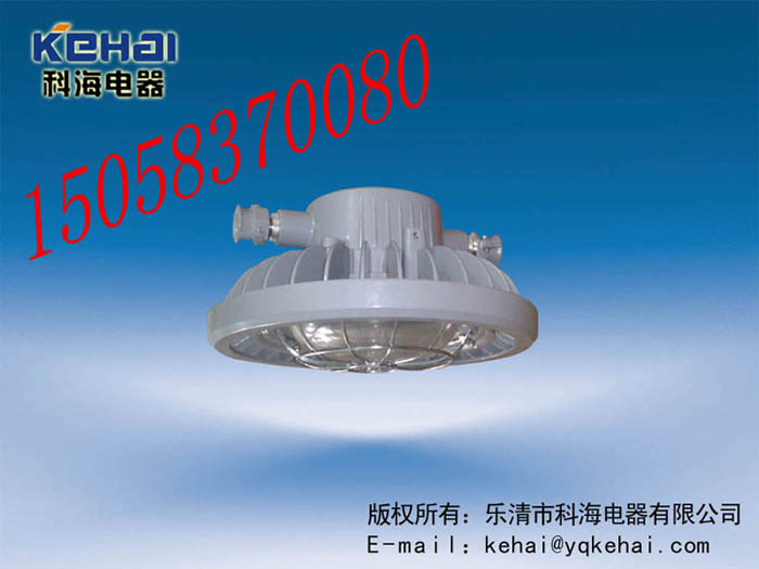 DGS70/127L(A)礦用隔爆型LED巷道燈，礦用LED巷道燈